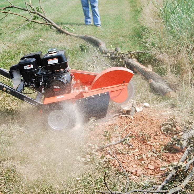 Pearland stump removal experts