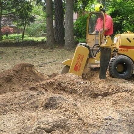 pearland tx stump grinding